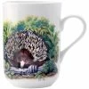Cheapest ❤️ Maxwell and Williams Cashmere Animals Of Australia Mug 300ml Echidna 🌟
