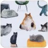 Discount ❤️ Maxwell and Williams Marc Martin Feline Friends Cork Back Coaster 10.5cm Set of 4 ❤️