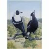 Best Sale 🔥 Maxwell and Williams Birds Of Australia Anniversary Tea Towel - Magpie 🤩