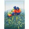 Budget 🛒 Maxwell and Williams Birds Of Australia Anniversary Tea Towel - Lorikeet 🥰