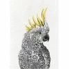 Buy 💯 Maxwell and Williams Marini Ferlazzo Birds Tea Towel 50cm x 70cm - Cockatoo ⭐