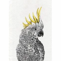 Buy 💯 Maxwell and Williams Marini Ferlazzo Birds Tea Towel 50cm x 70cm - Cockatoo ⭐