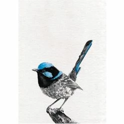 Budget 😍 Maxwell and Williams Marini Ferlazzo Birds Tea Towel 50cm x 70cm Superb - Fry-Wren 🥰