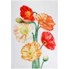 Deals 🥰 Maxwell and Williams Katherine Castle Floriade Tea Towel 50x70cm Poppies 👍