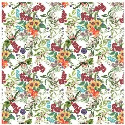 Coupon 🥰 Maxwell and Williams Royal Botanic Gardens Beeswax Wrap 32x32cm Euphemia Gift Pack 😍