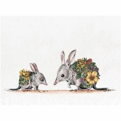 Best Sale 🎉 Maxwell and Williams Marini Ferlazzo Australian Families Tea Towel 50X70cm Bilby 🧨