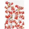 Cheap ✔️ Maxwell and Williams Royal Botanic Gardens - Garden Friends Tea Towel 50X70Cm Spinebill 😍