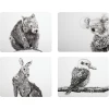 Top 10 ⌛ Maxwell and Williams Marini Ferlazzo Animals of Australia Cork Back Placemat 34x26.5cm Set of 4 Assorted Gift Boxed 🌟