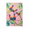 Best reviews of 🧨 Maxwell and Williams Katherine Castle Bird Talk Tea Towel 50x70cm Rainbow Lorikeets 😍