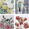 New ⭐ Maxwell and Williams Royal Botanic Gardens - Garden Friends Cork Back Coaster 10.5cm Set of 4 Assorted Gift Boxed 😍